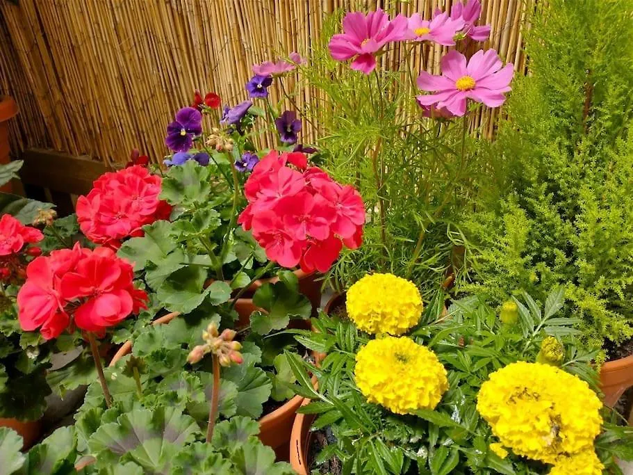 The Boutique York Garden Studio